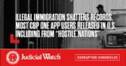 Illegal Immigration Shatters Records, Most CBP One App Users Released in U.S. Including from “Hostile Nations”