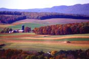 US farmland